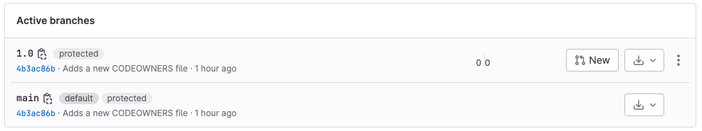List of branches, showing 1.0.0 is protected